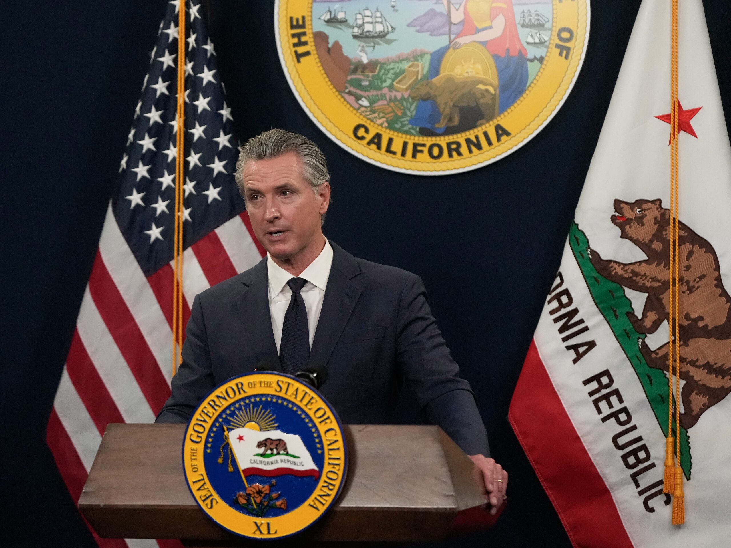 Gavin Newsom proposes a California digital software tax