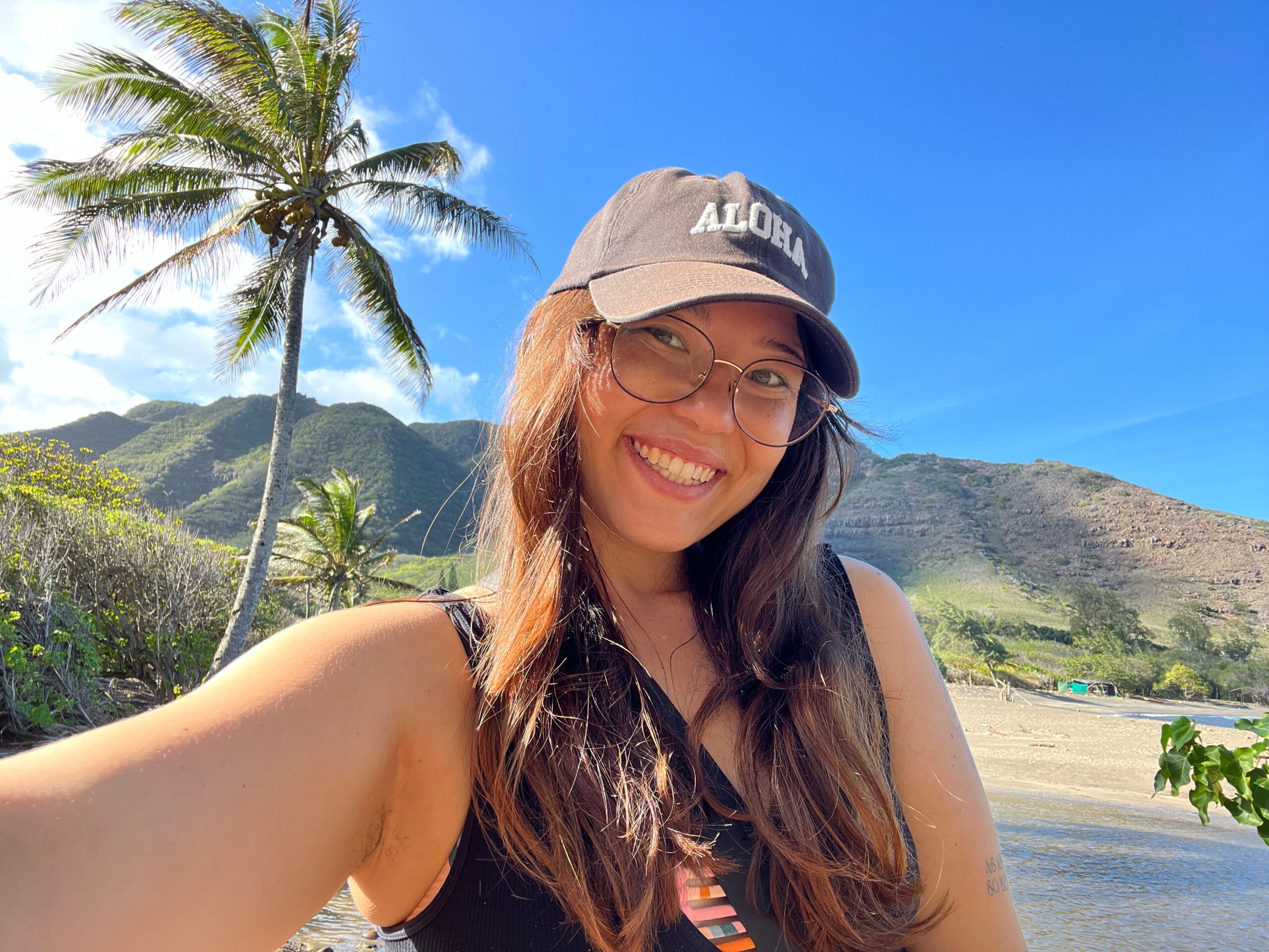 I stayed at the only hotel on Hawaii's 'least touristy' island for $260 a night. I'd do it again for the convenience and views.
